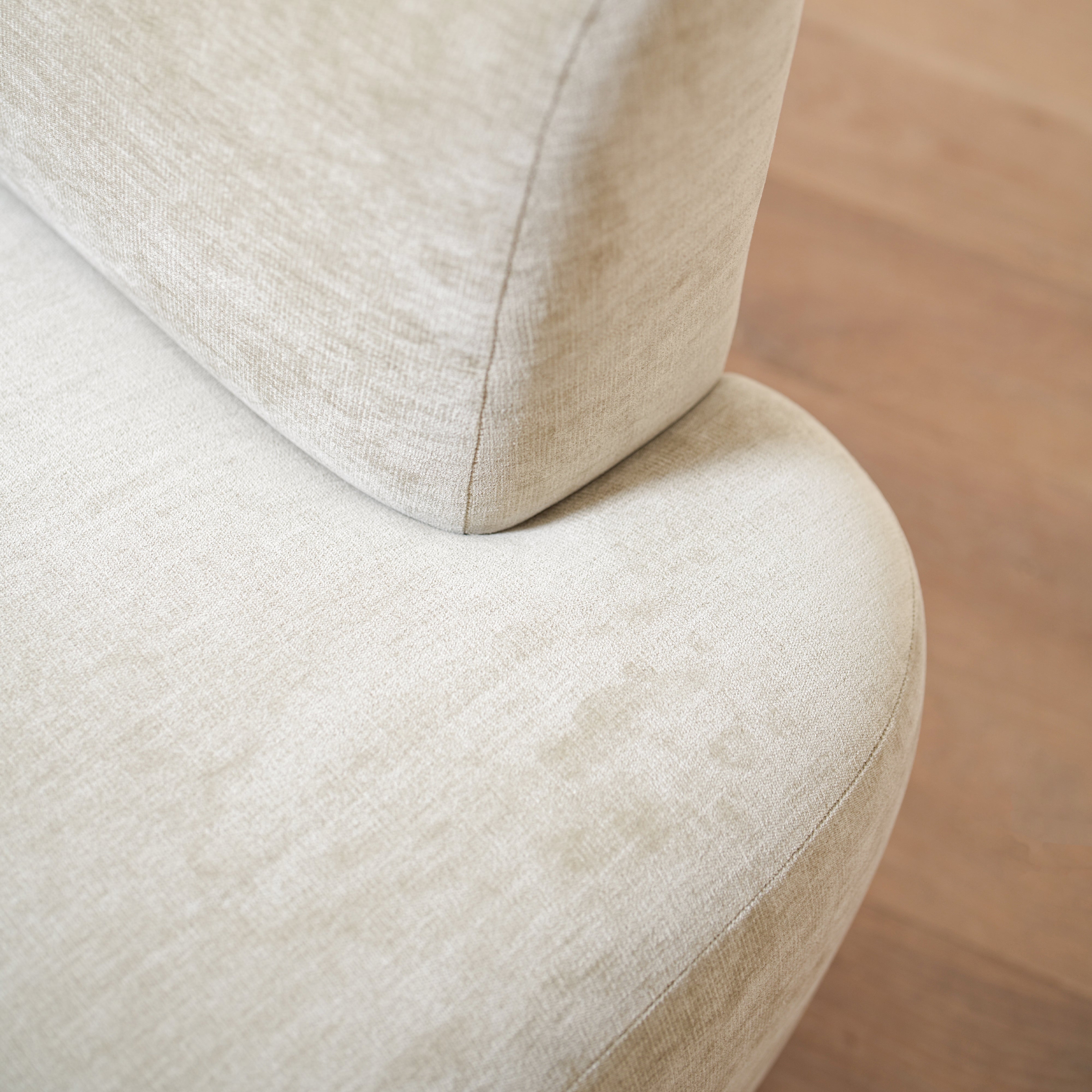 As Shown in Canyon Sage, Swivel