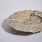 As Shown in China Palissandro