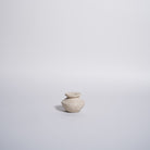 As Shown in Jura Limestone
