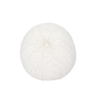 As shown in Berber White